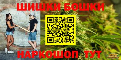 МДПВ Сланцы